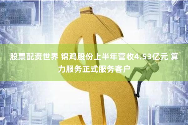 股票配资世界 锦鸡股份上半年营收4.53亿元 算力服务正式服务客户